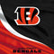 NFL Cincinnati Bengals Galaxy Book 12in Skin